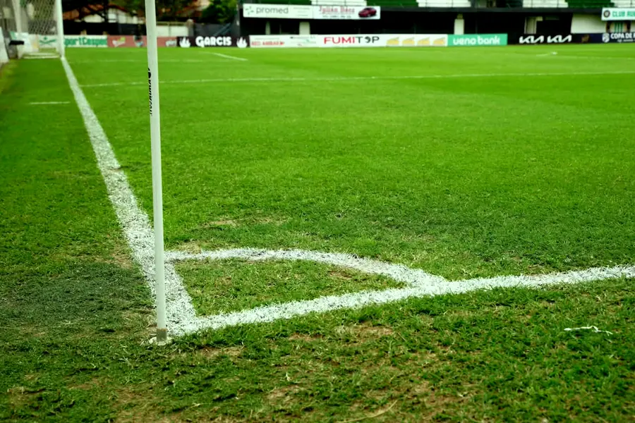 Banderín de córner y césped del estadio La Arboleda
