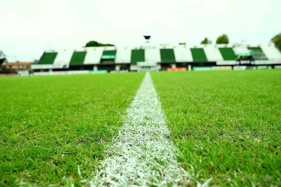 Línea de cal hacia la tribuna albiverde de La Arboleda